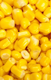 Corn